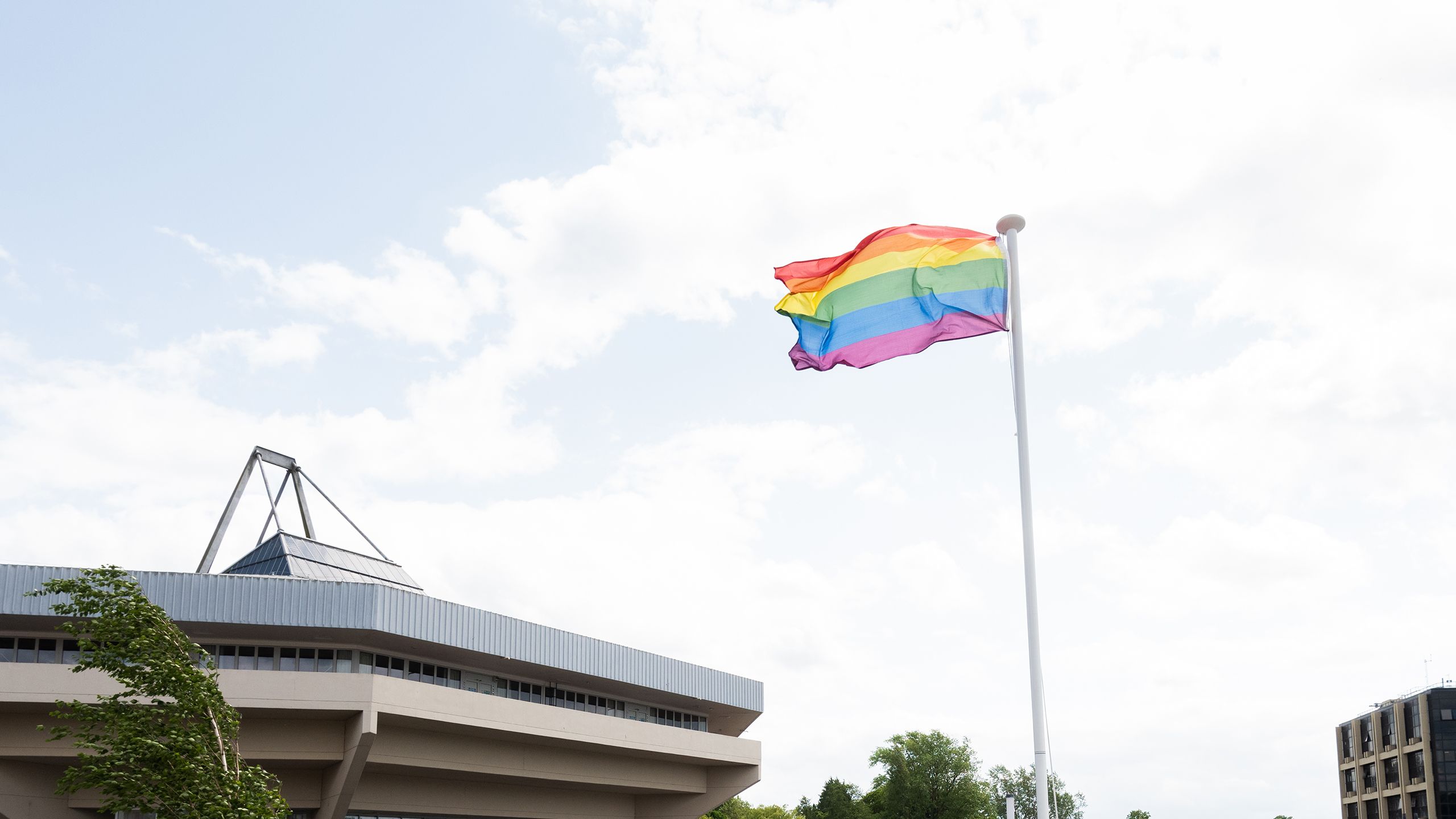 rainbow flag blowing in the wind