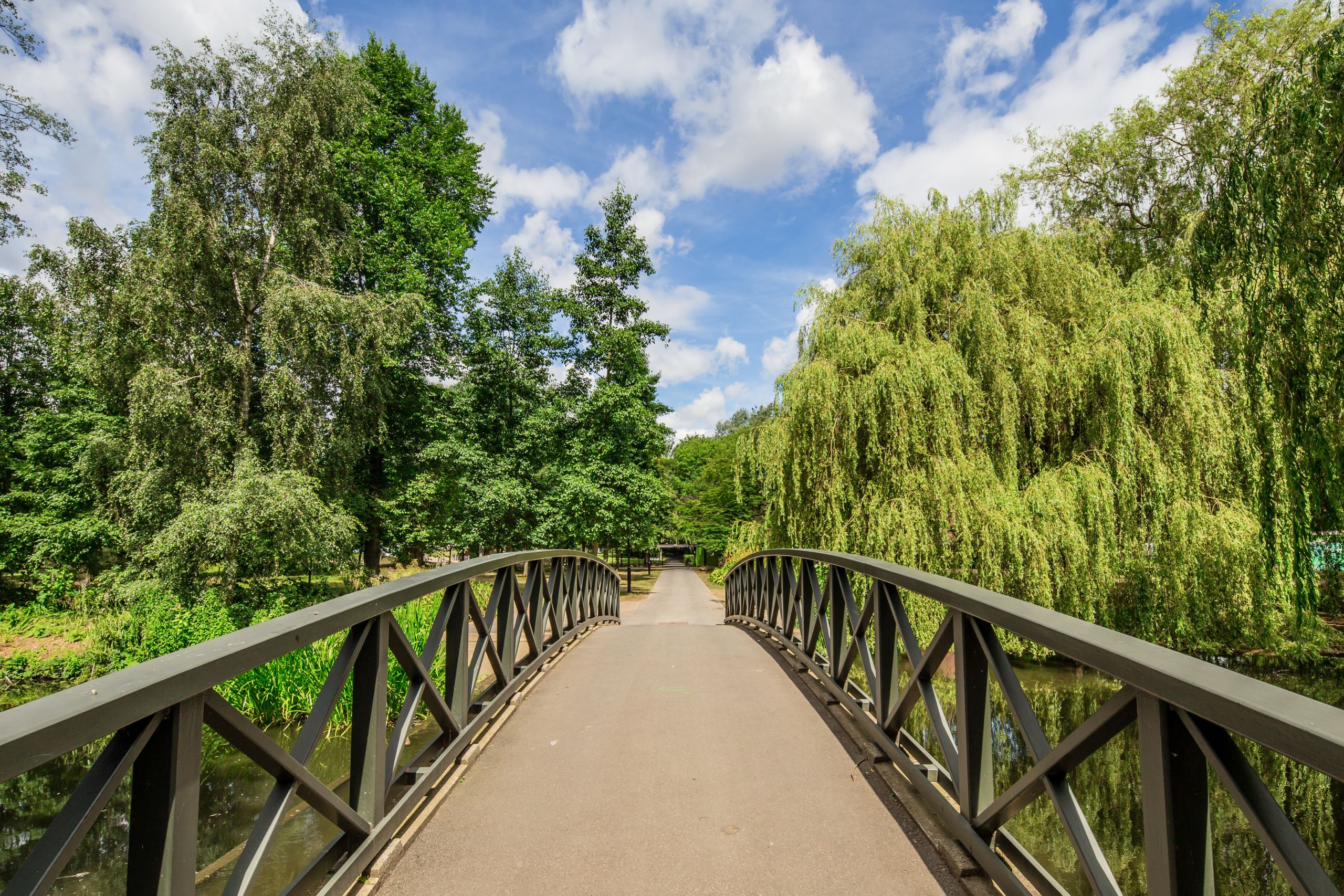 Image shows bridge with greenery