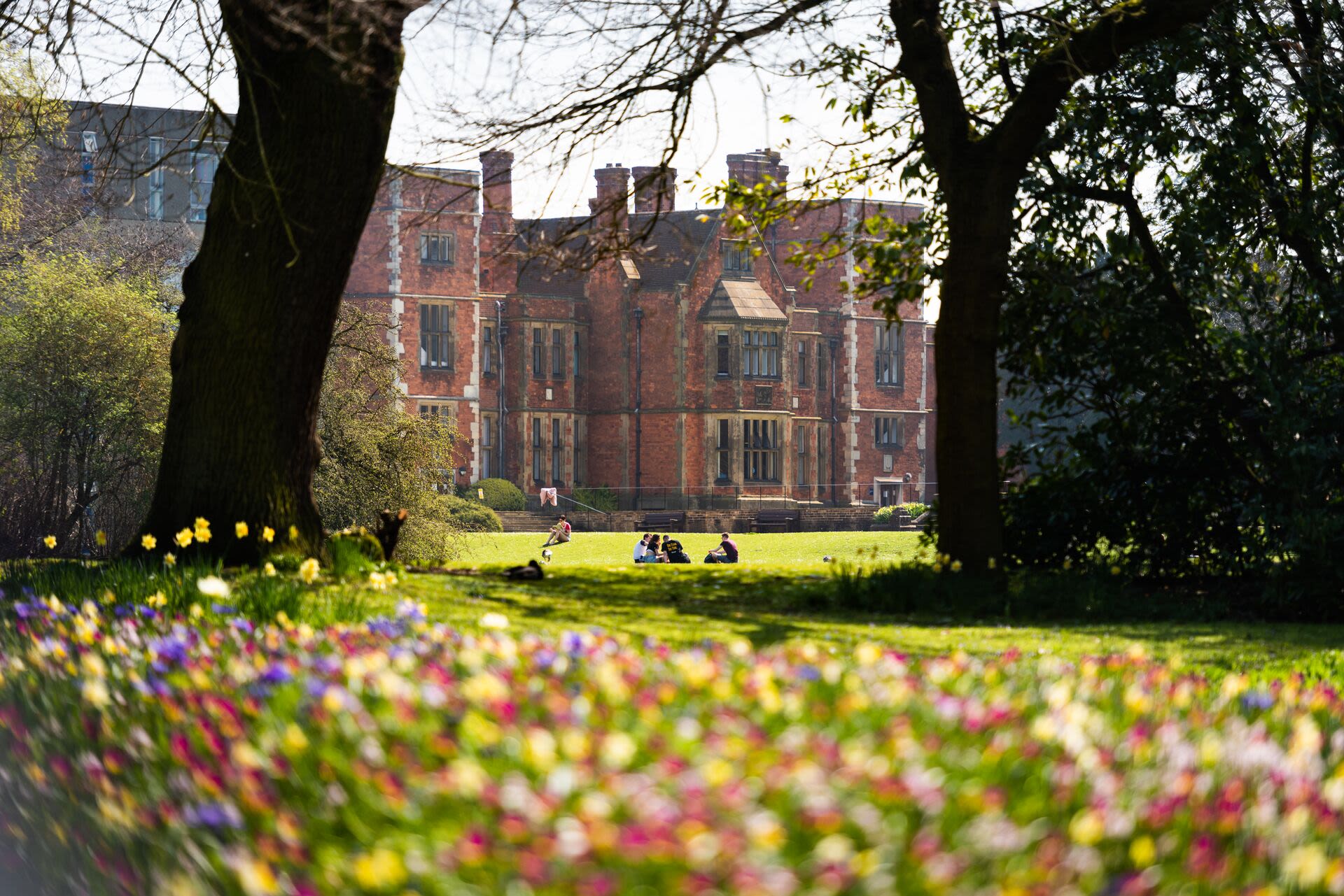 Heslington Hall seen from between two trees. The grass is sprinkled with flowers in bright shades.