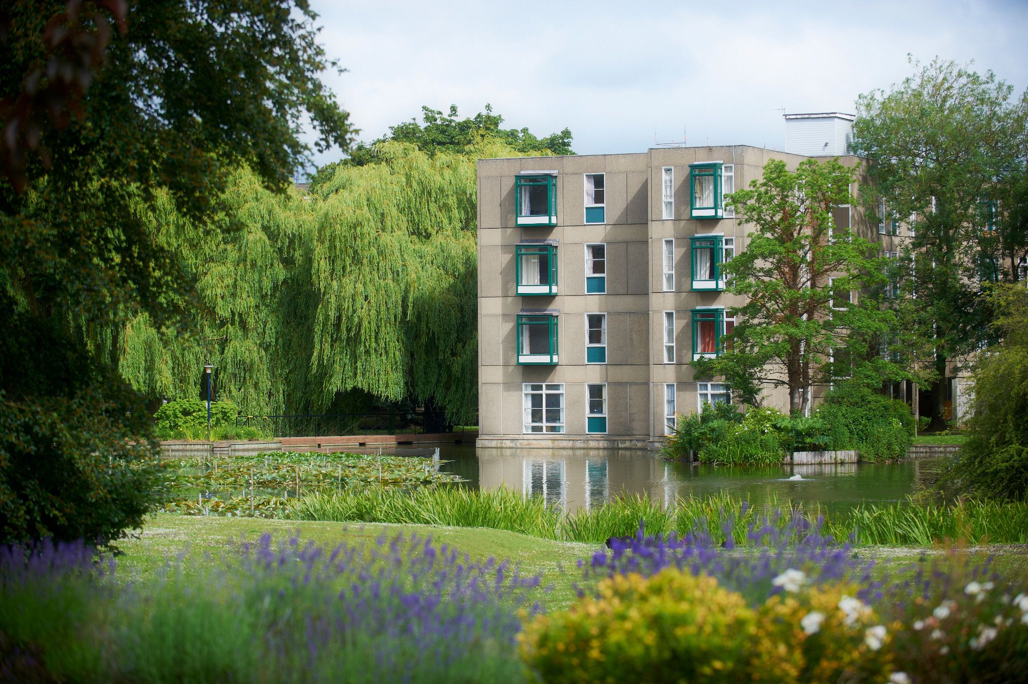 Derwent College, a brutalist concrete building, seen from across the lake. Bright flowers and plants surround it in all directions.