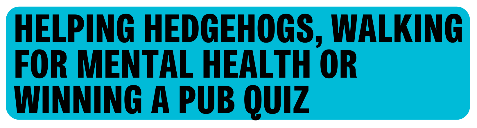 Helping hedgehogs, walking for Mental Health or Winning a pub quiz