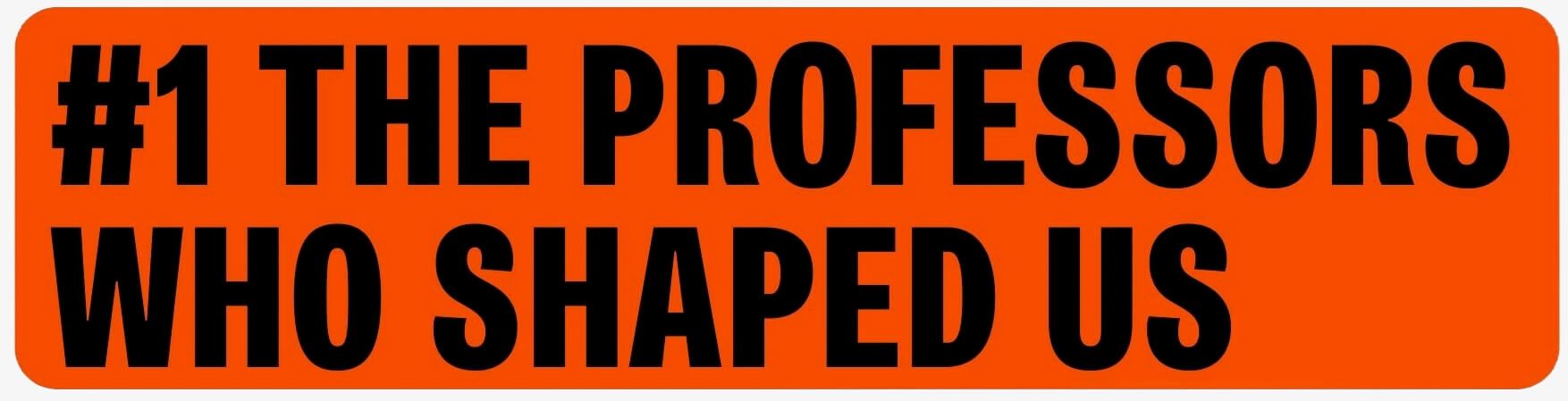 #1 The Professors who shaped us