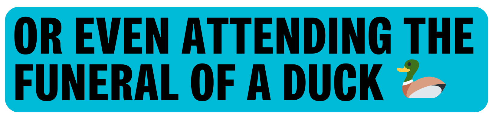 Or even attending the funeral of a duck